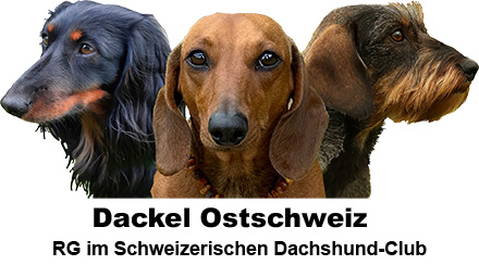 Dackel Ostschweiz